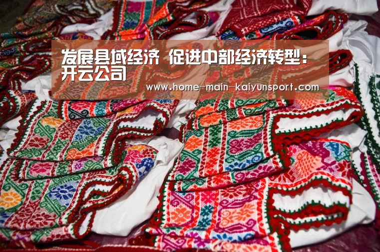 发展县域经济 促进中部经济转型:开云公司(图2) 开云