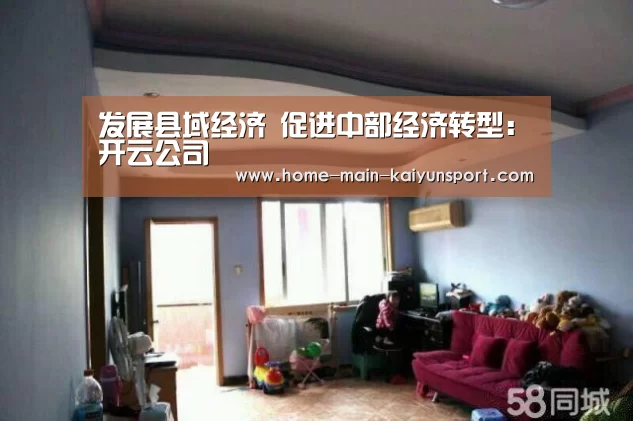 发展县域经济 促进中部经济转型:开云公司(图1) 开云集团